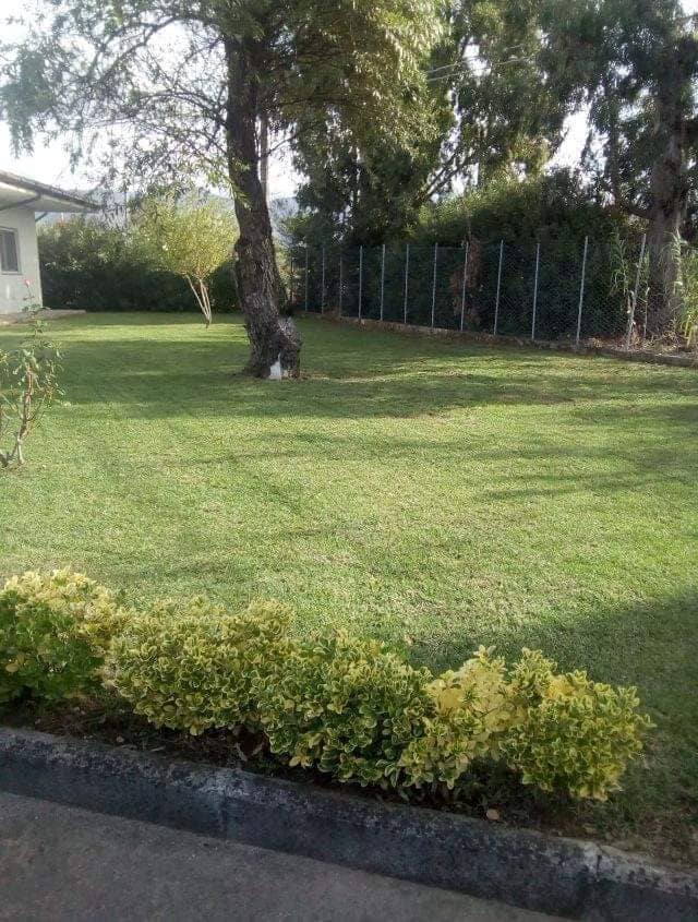 Progettazione giardini – Vivaio Evergreen – Giardiniere a Fondi Gino Conti